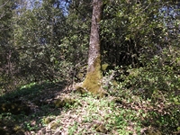 nte Cicirello-10042012 054